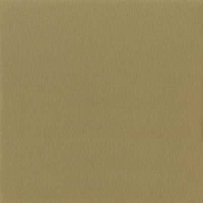 Yellowstone Headliner