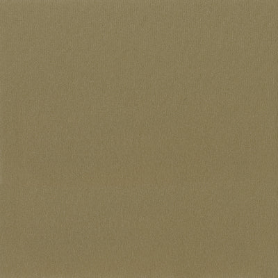 Yellowstone Headliner