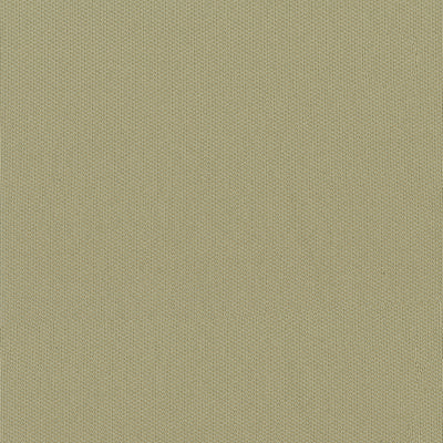 Yellowstone Headliner