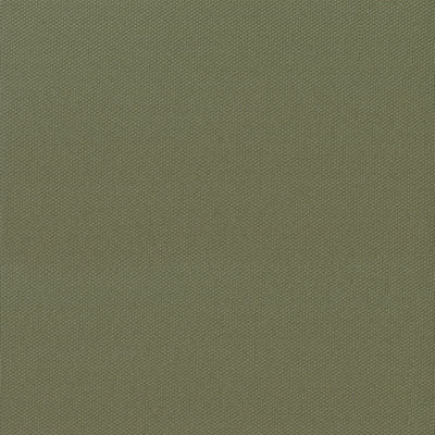 Yellowstone Headliner