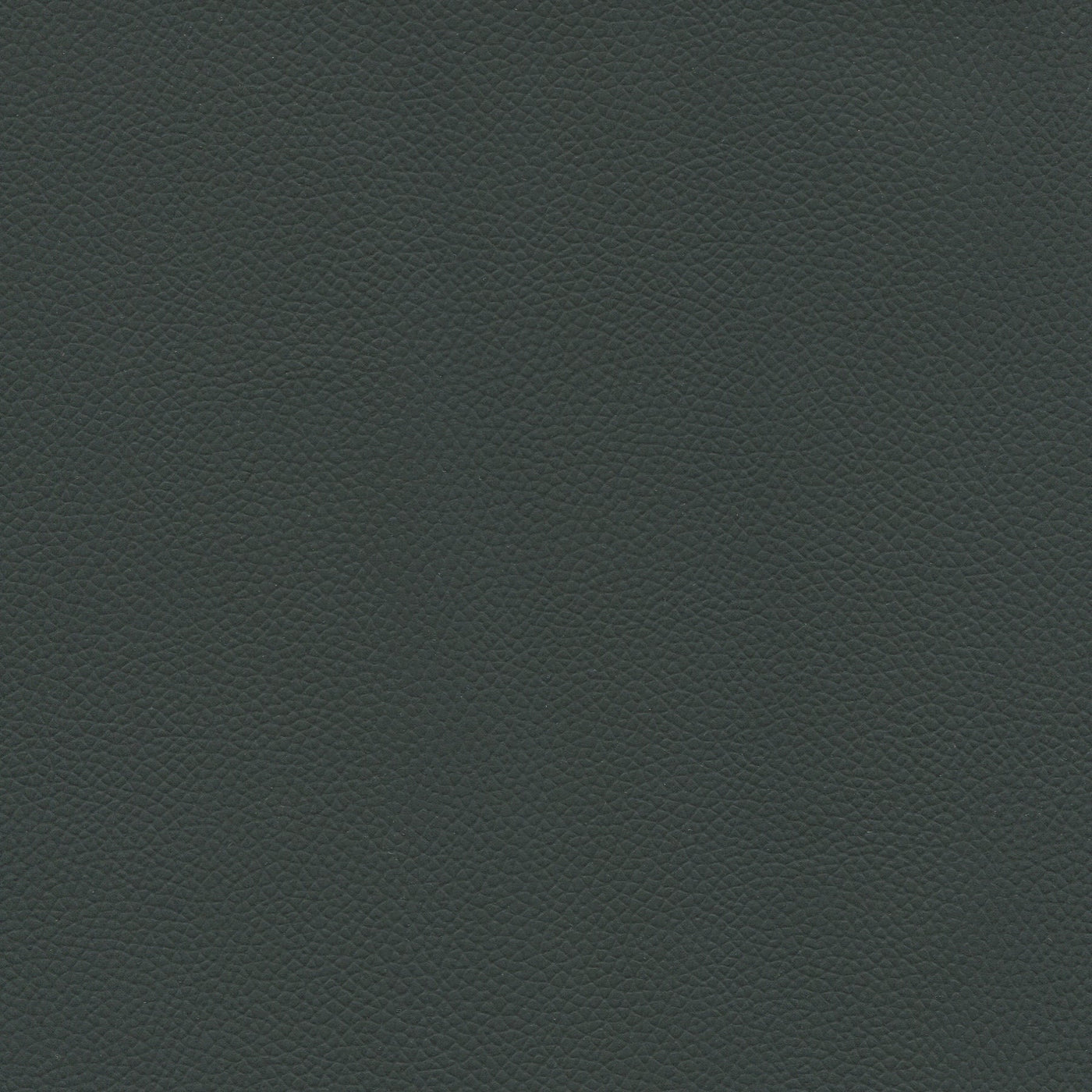 Enduratex Longitude Sample