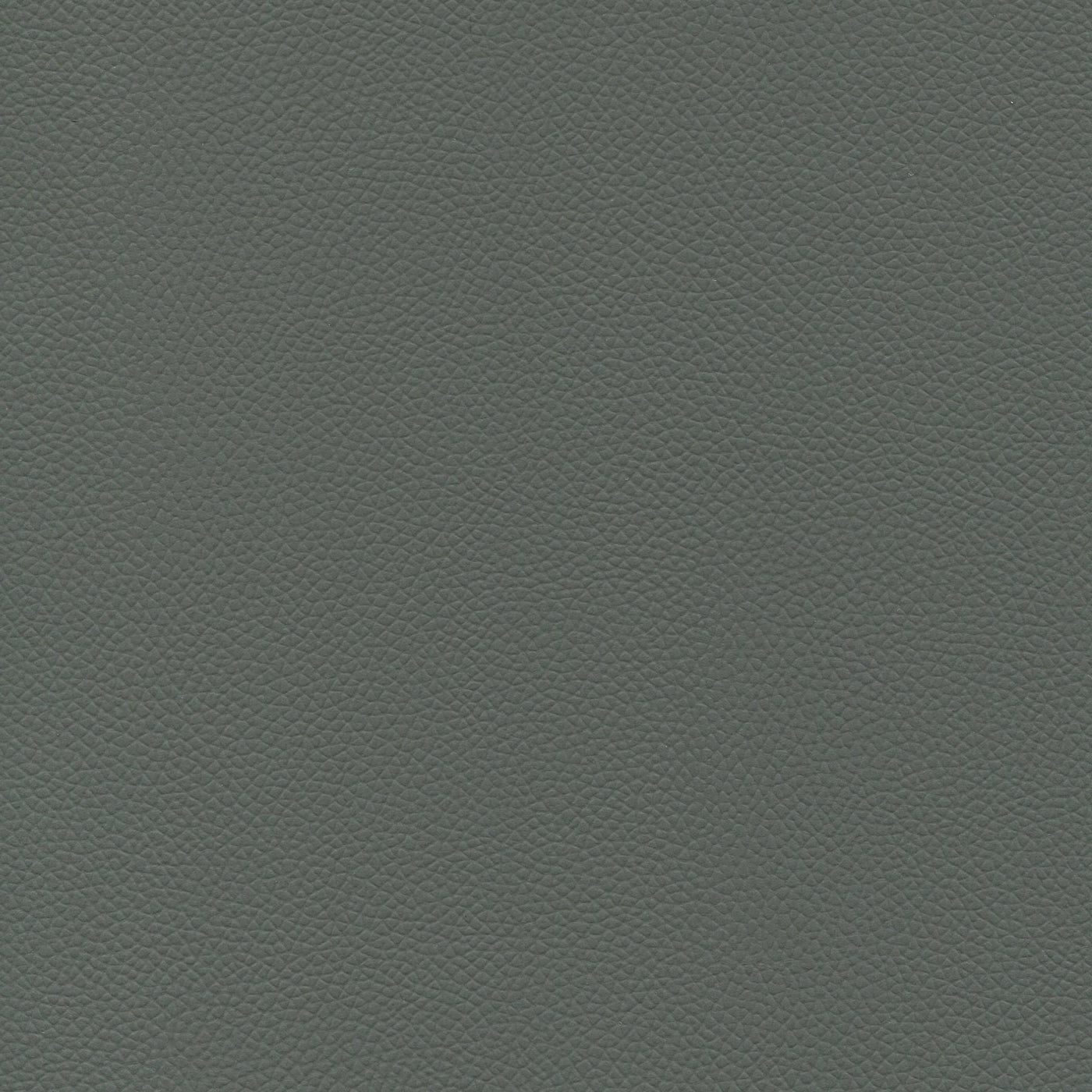 Enduratex Longitude Sample